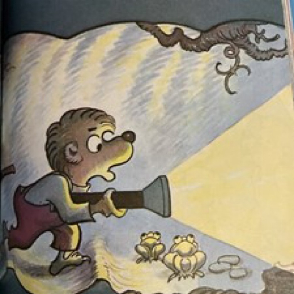 The Big Book of Berenstain Bears Beginner Books Children Stories Gift Toy Read - Picture 7 of 8